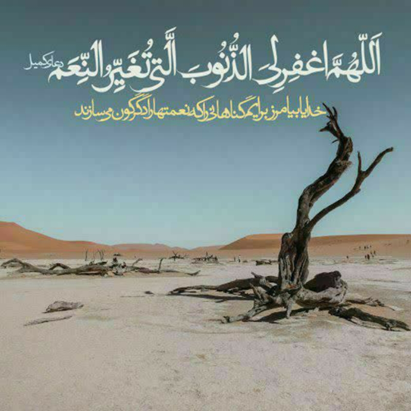 مبلغ… جهت تبلیغ در ایام فاطمیه (س)