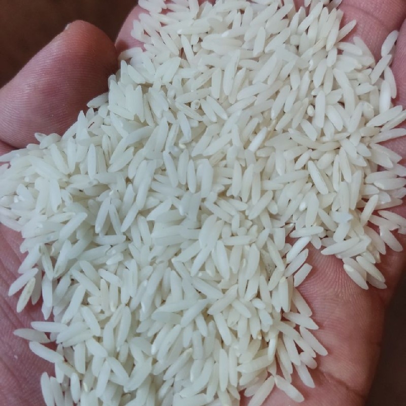 برنج طلاب