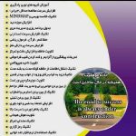 دوره های تندخوانی و تقویت حافظه