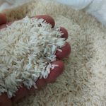 فروش برنج اصل طارم هاشمی در استان خراسان رضوی