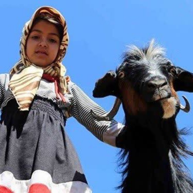 ایده ی شهر خاکی