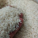 فروش برنج اصل طارم هاشمی در استان خراسان رضوی