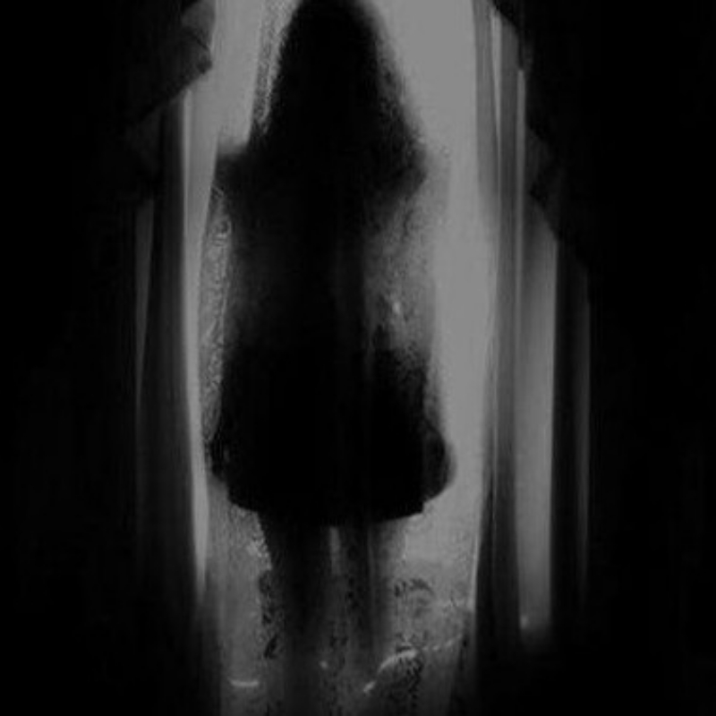 پانزده داستان اتفاق افتاده
